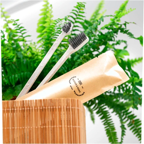 Bleeker & Röwe Bleeker and Rowe Pet Toothbrushes (Double Sided, 100, Count)