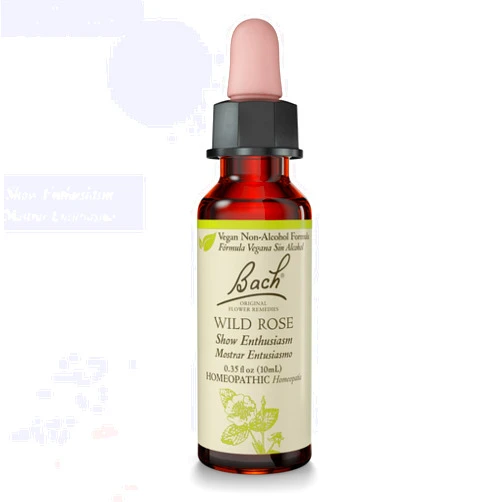 Bach Flower Remedies Bach Original Flower Remedies, Wild Rose (Non-Alcohol Formula) - Show Enthusiasm - Natural Homeopathic Flower Essence for Emotional Balance - Vegan, Gluten Free, Sugar Free - 10mL Dropper