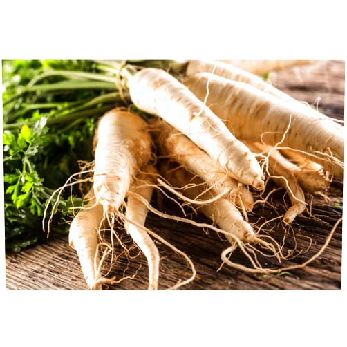 Isla's garden seeds Harris Model Parsnip Seeds for Planting, 300+ Heirloom Seeds, (Isla's Garden Seeds), Non GMO Seeds, 85% Germination, Scientific Name: Pastinaca Sativa, Great Home Garden Gift