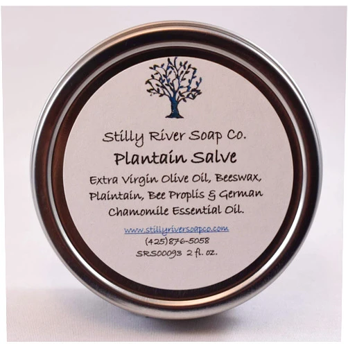 Stilly River Soap Co. Natural Products Plantain Salve for Stings, Bites & Rash