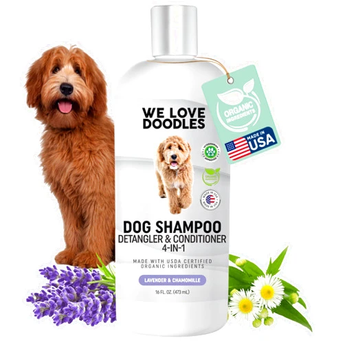 We Love Doodles USDA Organic Dog Shampoo, Conditioner & Detangler - Best Shampoo for Goldendoodles, Poodles & Doodles - for Matted Pet Hair - Sensitive Skin Shampoo for Puppies - Made in The USA, 16OZ (Lavender)