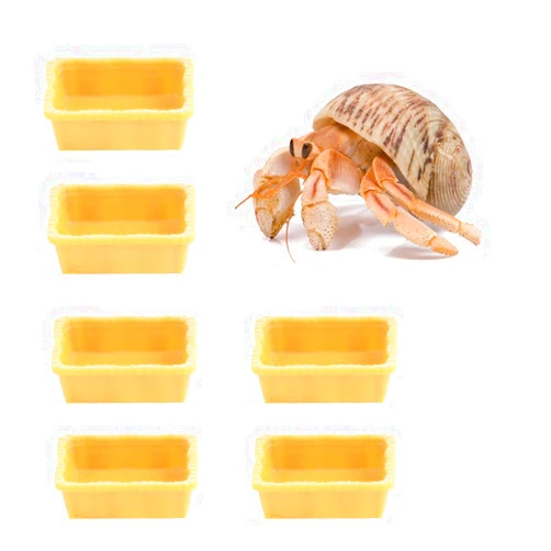 DQITJ 6 Pcs Hermit Crab Micro Food Bowl Ant Farm Small Water Dish for Hermit Crab Tarantula Snail Ant Millipede Tiny Bugs