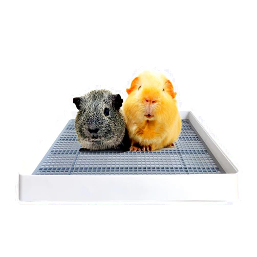 PODOO Rabbit Large Litter Box, Guinea Pig Training Pan Cage with Toilet Tray, for Rats, Cat, Ferret, Bunny Small and Medium Animals, 15x12x3 Inches (Medium)