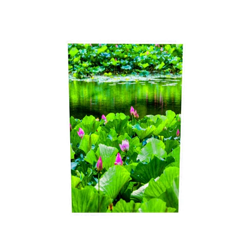 3dRose 15x22 Hand Towel - Lotus Pads in luch Garden, Summer Palace, Beijing, China Flowers