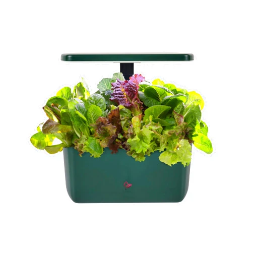 AeroGarden Harvest 2.0, Indoor Garden Hydroponic System with LED Grow Light, Holds up to 6 AeroGarden Pods, Green