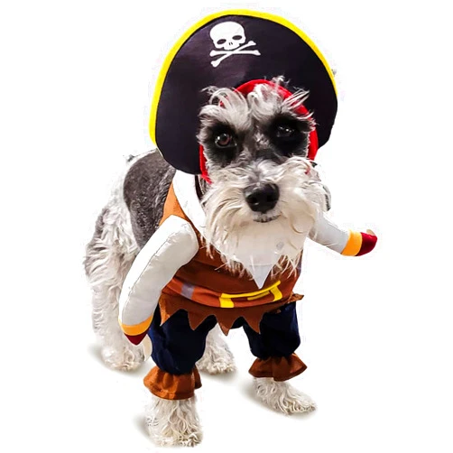 CAISANG Funny Dog Costume Pirates of The Caribbean Style Cat Costumes Halloween Dog Clothes with Hat Small Medium Pet Kitty Cosplay Outfits Cute Prop Apparel for Halloween Party Accessories (Medium)