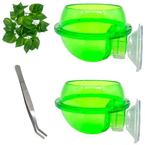 MUYG Chameleon Feeding Bowl with Suction Cup,Reptiles Feeder Water Bowls Anti-Escape Worm Live Fodder Translucent Container Ledge Dish Supplies for Lizard Bearded Dragon Gecko Snake(4Pcs)