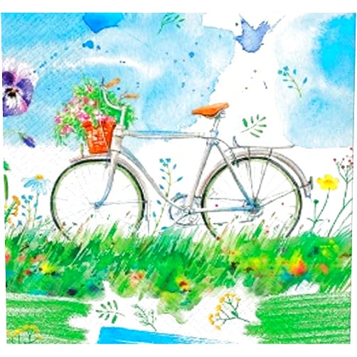 European Excellency Bicycle Paper Napkins WATERCOLOR BICYCLE 40pcs Lunch Napkins, Decoupage Paper Napkins, Disposable Napkins Decorative, Wildflower Napkins, Floral Paper Napkins
