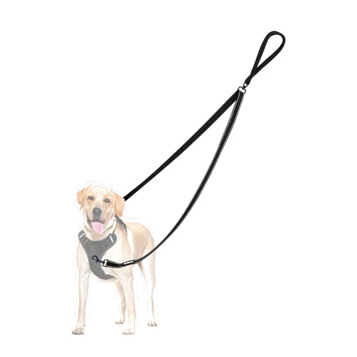PetBonus Two Point Control Dog Leash, Works with No Pull Harnesses, No Tangle Dog Training Leashes, No Pull Padded and Reflective Walking Lead, Converts to Single Leash for Medium Large Dogs