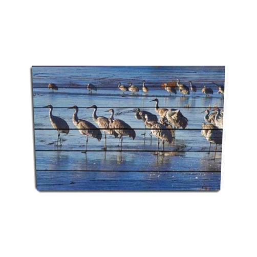VIUBGCPS Sandhill Crane Canvas Wall Art Print Animals Nature Wilderness Painting Relax/Calm Rustic Framed Artworks for Living Room Bedroom Office 20x32inch Ready to Hang