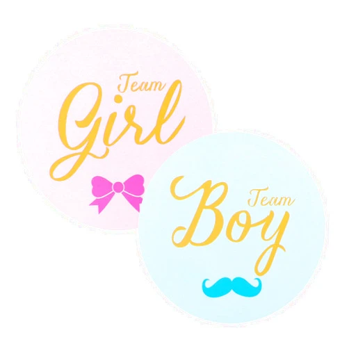 Joycraft 96Pcs Gender Reveal Stickers for Party Invitations and Voting Games， 2