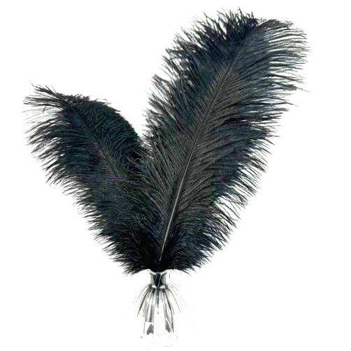 Happy Feather 10 pcs Ostrich Feathers Centerpiece 14-16 inch for Wedding Home Party Decoration, DIY Craft-Black
