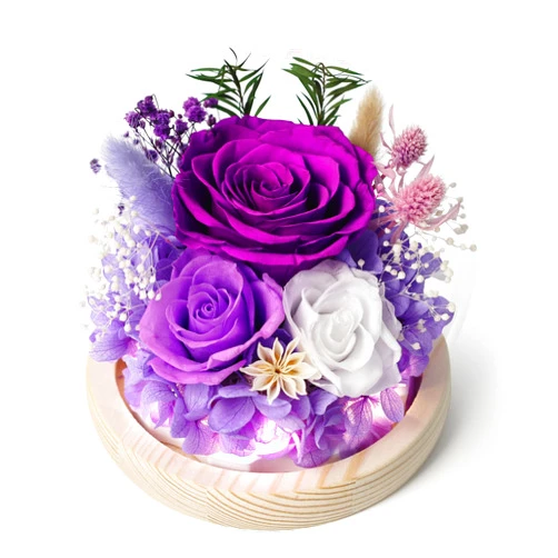 FIACO Gifts for Women Preserved Real Flowers Eternal Rose in Glass Dome with LED Light, Long-Lasting Forever Flowers Roses for Home Decor Birthday Gifts for Mom Grandma Wife Girlfriend Purple