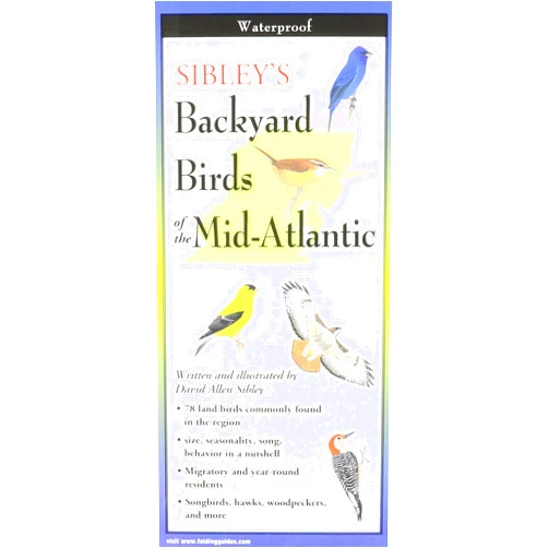 David Allen Sibley Sibley's Backyard Birds of the Mid-Atlantic & South-Central States (Foldingguides)