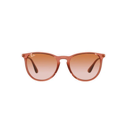 Ray-Ban Rb4171 Erika Round Sunglasses