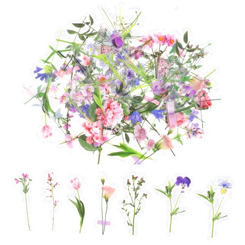 DIVINA VITAE 80PCS Transparent Flowers Stickers for Scrapbooking Vintage Floral Wildflower Botanical Stickers Watercolor Natural Plants Decals Waterproof Decorative for Journal Laptops DIY Crafts Planner Art