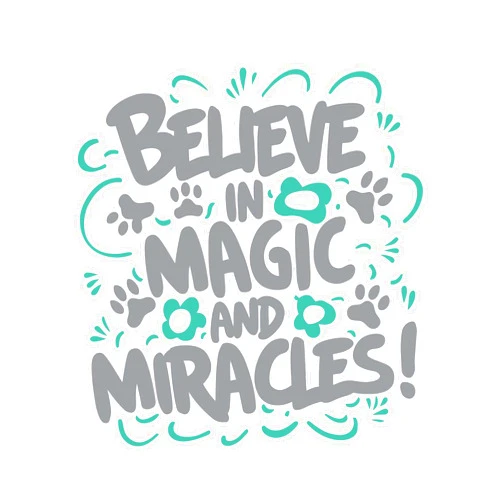 Design With Vinyl Believe in Magic and Miracles Motivated Wonderous Hopeful Radiant Quote Wall Art Sticker Designs Vinyl Stickers for Home House Walls Rooms Windows Bedroom Decoration Size (12x12 inch)