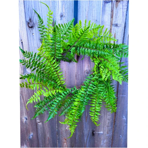 An Array of Wreaths, LLC Soft Touch Fern Wreath