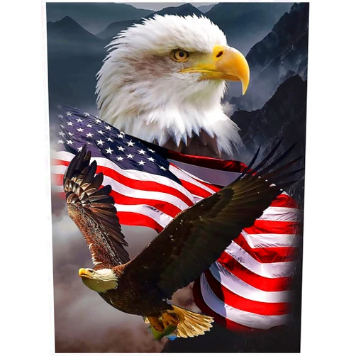 KTHOFCY 5D DIY Diamond Painting Kits for Adults Kids Eagle and Flag Full Drill Embroidery Cross Stitch Crystal Rhinestone Paintings Pictures Arts Wall Decor Painting Dots Kits 15.7X11.8 in
