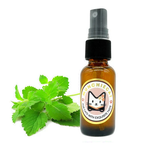 Munchiecat Potent, 100% Natural Catnip Spray for Cats | Potent USA-Grown Liquid Cat Nip | Enhance Playtime & Enrichment for Cats (Spray)
