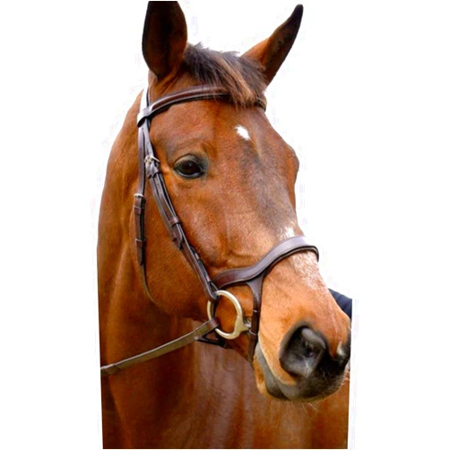 NUNN FINER PRODUCTS NUNN FINER Innovativo English Bridle with Rubber Reins