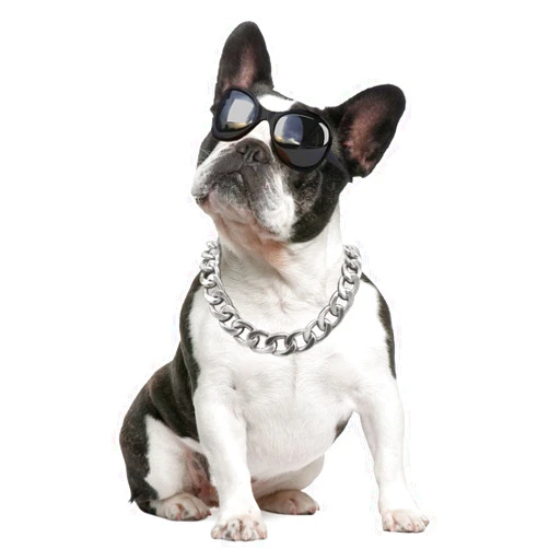 Tagbilang Silver Dog Chain Collar-3/4 Inch （20mm） Width Cuban Link Durable Dog Necklace, Cute Fashion Pet Collar for Pit Bulldog, Light Metal Jewelry Bold Chain Puppy Accessories (17 inch, Silver)