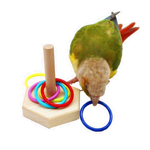 QBLEEV Bird Toys - Budgie & Parrot Training Toys, Color Ring Sets, Chew Ball & Play Gym