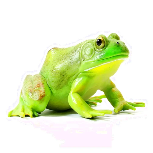 Gemini&Genius Tree Frog Toy Figure for Kids, Realistic Hand Painted Bullfrog Action Figure for Play or Display, American Bullfrog Animal Educational and Role Play Toy - Large