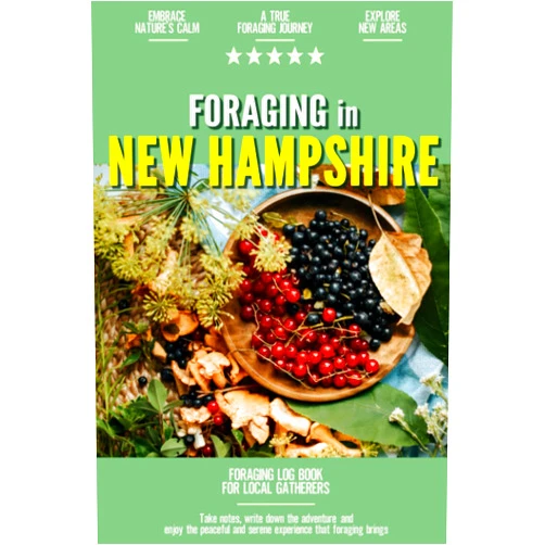 Emily Reyes-Ellis Foraging in New Hampshire: Foraging Log Book for Local Backyard Gatherers | Embrace Nature's Calm | A True Journey into the Woods
