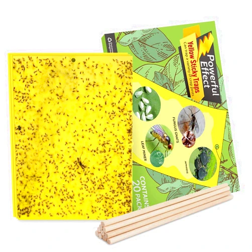 Kensizer 20-Pack Fruit Fly Trap, Yellow Sticky Gnat Traps Killer for Indoor/Outdoor Flying Plant Insect Like Fungus Gnats, Whiteflies, Aphids, Leaf Miners - 6x8 in, Twist Ties Included