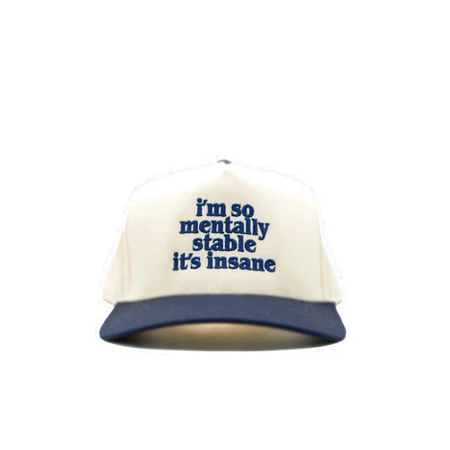Visibly Toxic Funny Hat, Adjustable Snapback, Unisex Hat, Hats for Men, Hats for Women, Stylish Hat, Party Hat