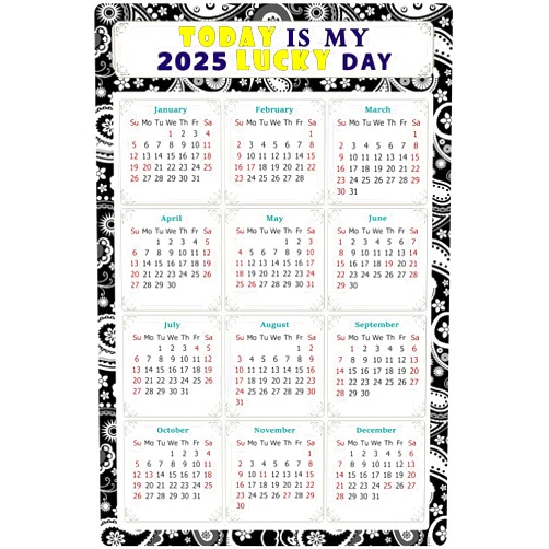 PELICAN INDUSTRIAL 2025 Magnetic Calendar - Calendar Magnets - Today is my Lucky Day - (Fade, Tear, and Water Resistant) - Themed 011 (7 x 10.5)
