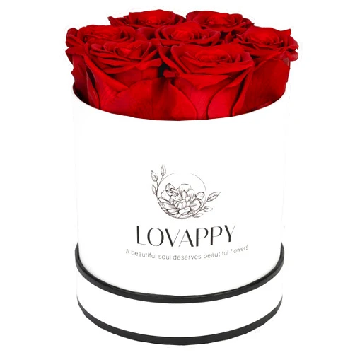 LOVAPPY Preserved Real Roses in a Box Roses That Last Up to 3 Years, Long Lasting Roses Gifts for Her, Valentines Day Gifts for Her (7 Red)
