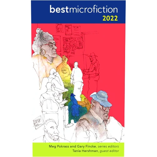 Meg Pokrass,Gary Fincke,Tania Hershman Best Microfiction 2022