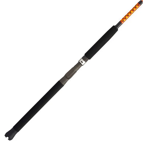 Ugly Stik Bigwater Casting Fishing Rod