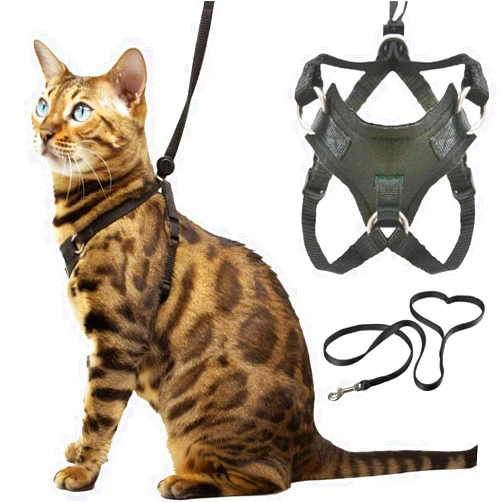 OutdoorBengal Houdini™ Escape Resistant Cat Harness and Leash Set by OutdoorBengal for Walking Cats (M)