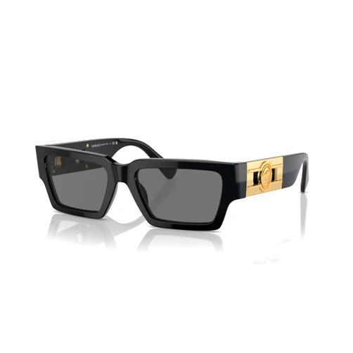 Versace Unisex Sunglasses Havana Frame, Dark Grey Lenses, 54MM