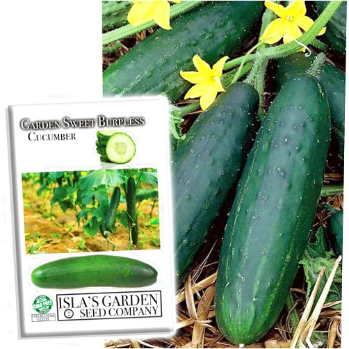 Isla's garden seeds Garden Sweet Burpless Cucumber Seeds for Planting, 50+ Heirloom Seeds Per Packet, (Isla's Garden Seeds), Non GMO Seeds, Botanical Name: Cucumis sativus, Great Home Garden Gift