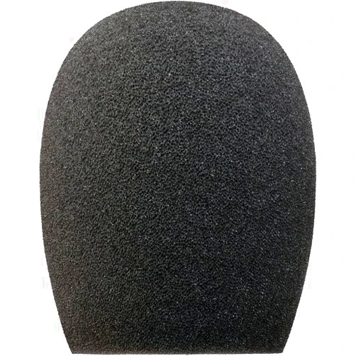 AURAY Foam Windscreen for Zoom H1
