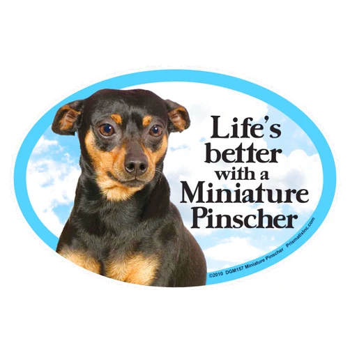 Prismatix Miniature Pinscher Oval Dog Magnet for Cars