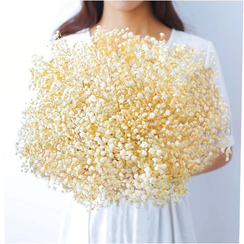 Beerfingo Dried-Flowers-Babys-Breath-Bouquet-17.2 inch 2500+ Ivory White Flowers, Natural Gypsophila Branches for Home Decor, Wedding, Table Decor, DIY Wreath Floral, Dry Flowers Bulk for Vase