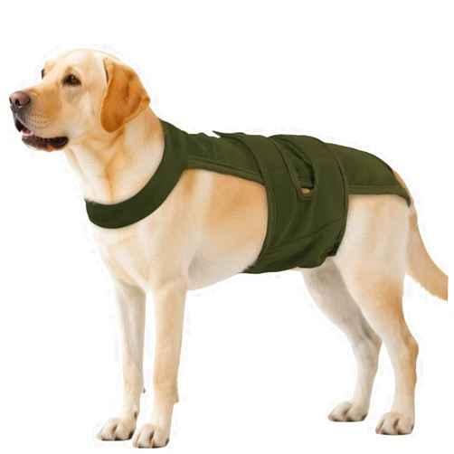 QBLEEV Female Dog Diapers with Adjustable Suspenders – Washable Sanitary Panties for Dogs in Heat or Incontinence, Escape-Proof Reusable Pet Period Underwear Onesie for Small to Large Breeds