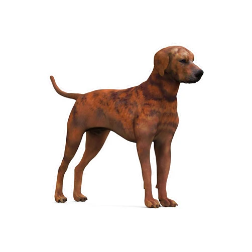 Generic Plott Hound 3D Figurine | Statuettes | Dog Figurine | 3D Statue | Sculpture (3 Inches)