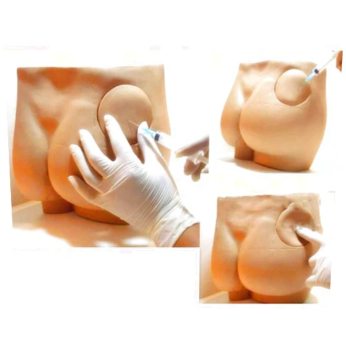 GHDE&MD Manikin Model Teaching - Hip Injection Training Simulator Buttock Hip Injection Practice Model for Medical Students Or Nurses Manikin Teaching Model