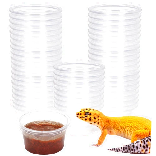 AIICIOO Gecko Feeder Ledge Cup Plastic Bowls Strong Magnetic Reptile Food Feeder Water Dish 50 Pack 1oz
