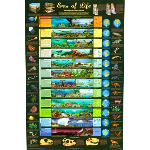 Poster Revolution Eras of Life Geological Time Scale Educational Science Chart Poster 24 x 36