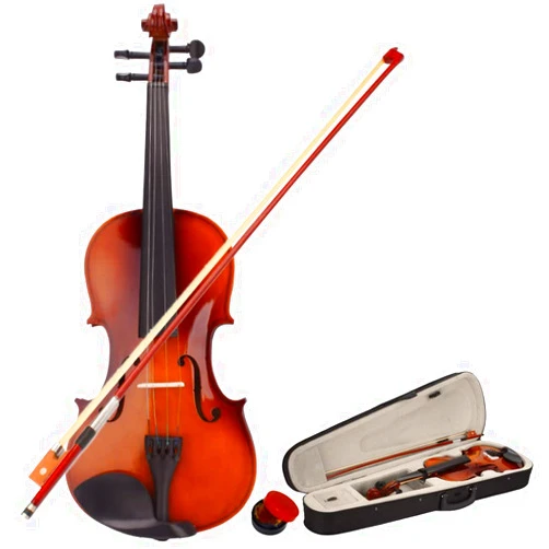 Vasitelan Acoustic Violin, Solid Wood Fiddle with Bow Case Rosin, Stringed Musical Instrument Violin for Beginner Adult Boys Girls Children Kids (4/4-Natural)