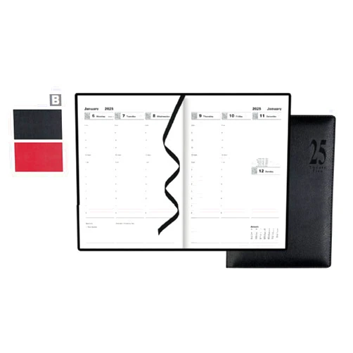 Letts of London Milano A5 Vertical Week to View Planner with Appointments 2025, 8.25-inch Length (Red), CTO3XURD