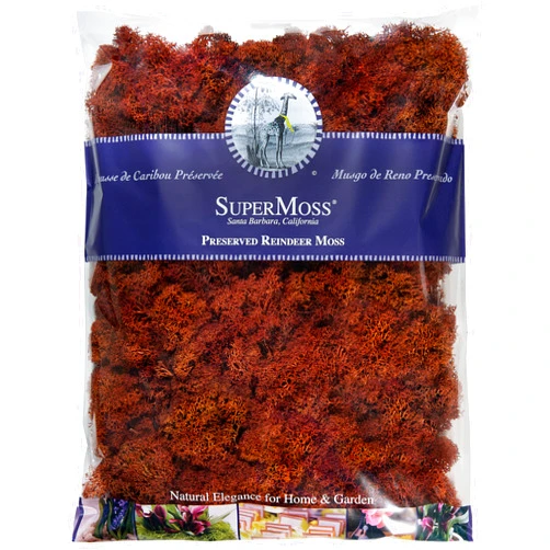 SuperMoss (25625) Reindeer Moss Preserved Bag, 16 oz, Rust