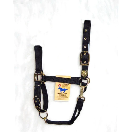 Hamilton 1-Inch Nylon Halter with Adjustable Chin, Black - Average Size